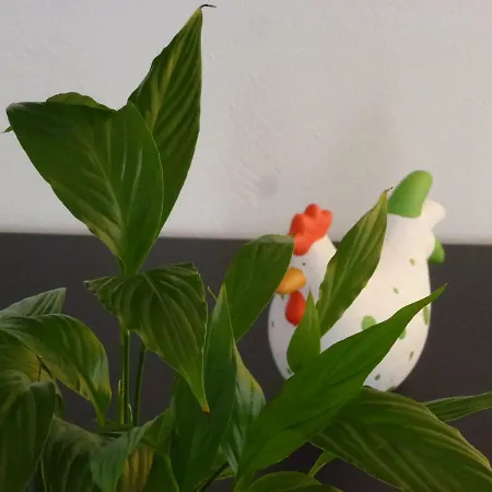 アパート Ahle Uhl Hönningen