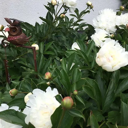 アパート Ahle Uhl Hönningen