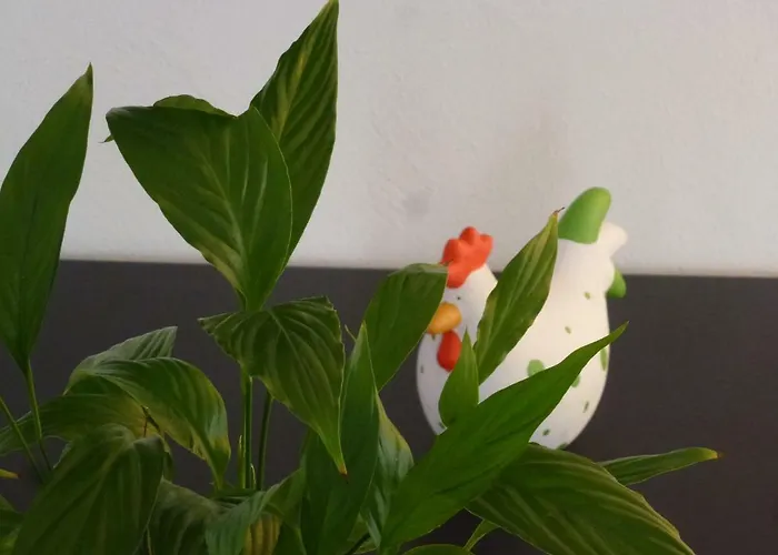 דירה Ahle Uhl Honningen (Rhineland-Palatinate)